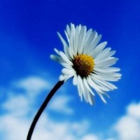 警惕盛世創(chuàng)富不正規(guī)！老師直播喊單騙局揭露！揭露虧損真相內(nèi)幕