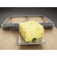 Admins虧損怎么辦？Admins被騙追回資金全過(guò)程！