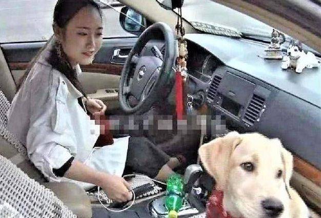 女司機(jī)注意了！往后副駕駛放這個(gè)，交警查到扣3分罰款200元