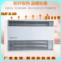 對流式加熱器 室內取暖設備 節(jié)能耐用電暖器