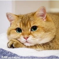 信達財經(jīng)不正規(guī)？還能追回嗎？來告訴你應(yīng)對之策