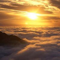 曝光！sunshine正規(guī)嗎？不為人知內(nèi)幕真相揭秘