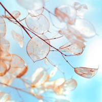 TEMICOIN正規(guī)嗎？虧損慘重內(nèi)幕大曝光！本人親身經(jīng)歷揭露