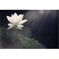 新紀(jì)元期貨被騙虧損怎么辦？2020年投資新騙局遭曝光！