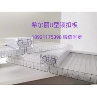 青州陽(yáng)光板多少錢一平方