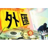 【午報(bào)】尷尬Coinviva剛買的NOIZ一夜就跌沒了