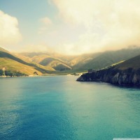 海農(nóng)中藥材正規(guī)嗎？是騙局嗎？跟上老師操作竟然虧損一敗涂地！