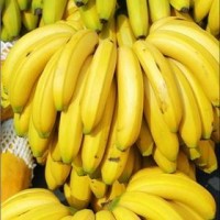 深圳進口水果報關(guān)代理公司
