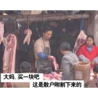 西安好策略損失慘重，平臺為何一直拖延出金？