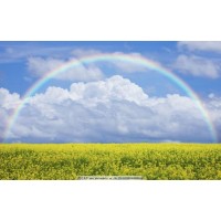 揭穿海鴻源APP不正規(guī)！被騙虧損無(wú)法出金！揭露真相本人親歷