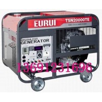 原裝日本進口汽油發(fā)電機TSN20000TE