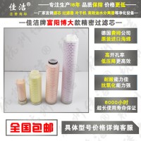 博大濾芯FLY-60/8 FYS-60/8