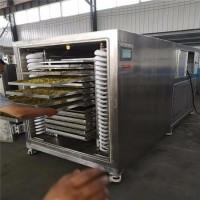100平真空冷凍干機 水果切片冷凍鮮蔬凍干機 連續(xù)低溫凍干機