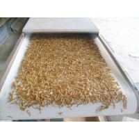 微波黃粉蟲膨化干燥設(shè)備、食品微波干燥設(shè)備