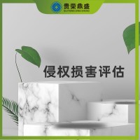 內(nèi)蒙古省呼和浩特市無形資產(chǎn)評估侵權(quán)損害評估今日推薦