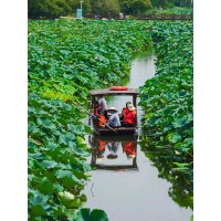 蘇州少兒暑假夏令營(yíng)賞千畝荷花人與自然探索體驗(yàn)營(yíng)活動(dòng)拓展報(bào)名中