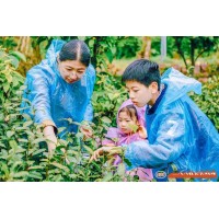 蘇州青少年社會(huì)實(shí)踐戶外拓展自然探索春日親子采茶體驗(yàn)活動(dòng)報(bào)名中